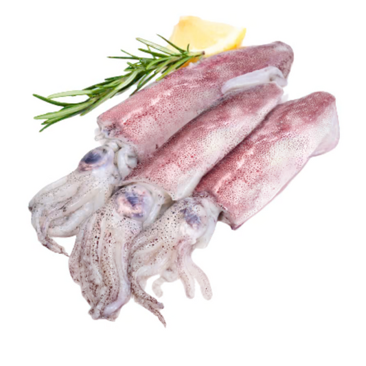 Frozen Whole Squid with Ink, 3 lbs